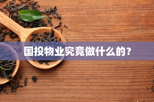国投物业究竟做什么的？