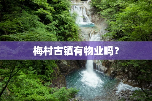 梅村古镇有物业吗？