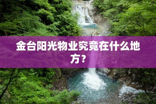 金台阳光物业究竟在什么地方？