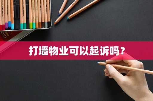打墙物业可以起诉吗？