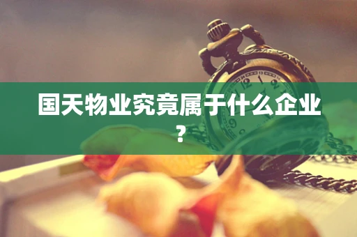 国天物业究竟属于什么企业？