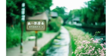 望江支路物业收费吗？电话是多少？