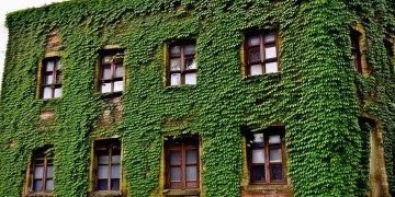 时代年华物业真的靠谱吗？