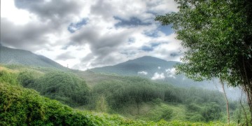 吕家新村物业到底管不管事？