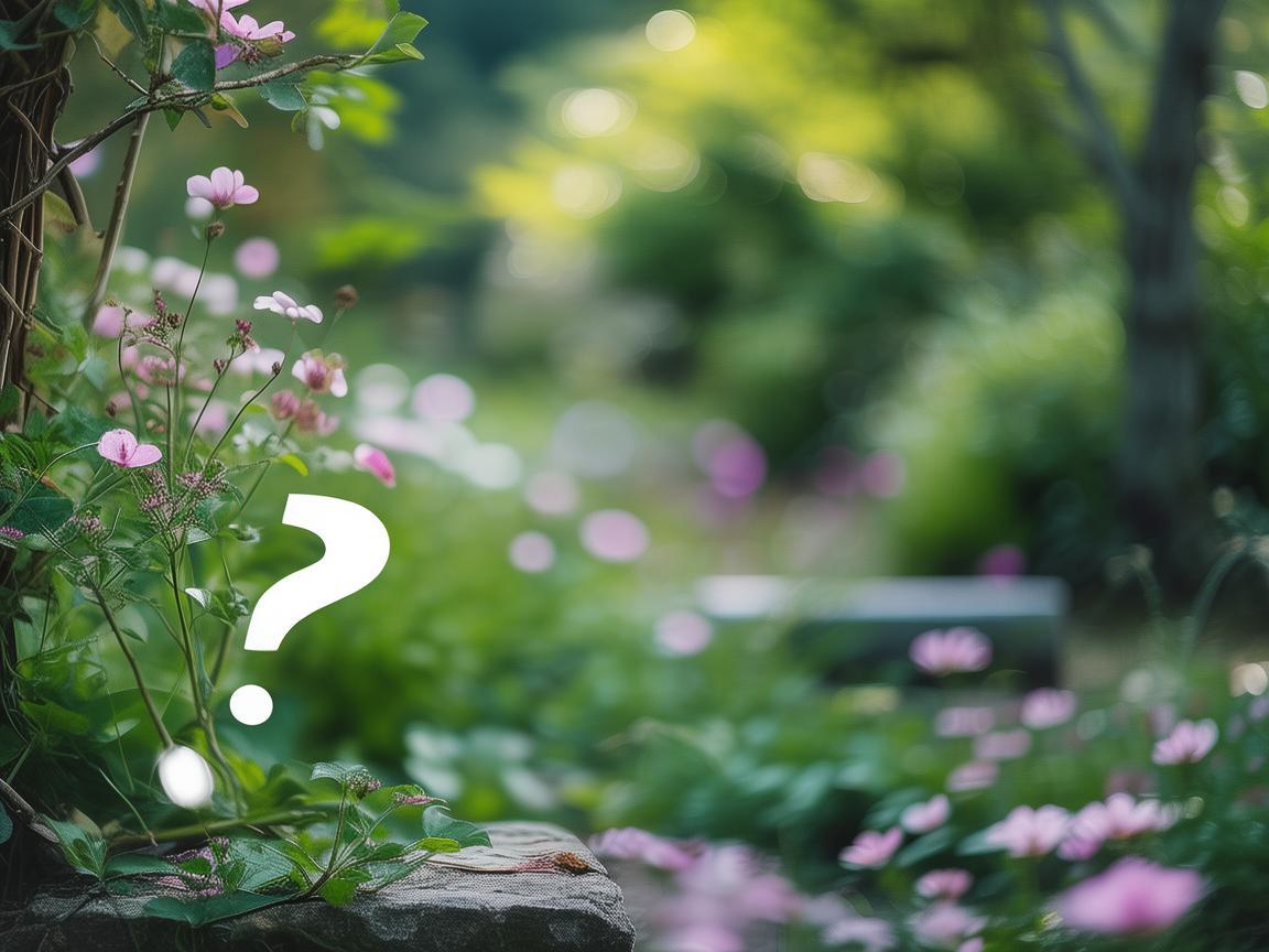 收费不合理真的可以告物业吗？